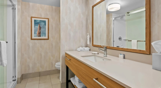 Двухместный номер Standard Hampton Inn & Suites Detroit-Canton