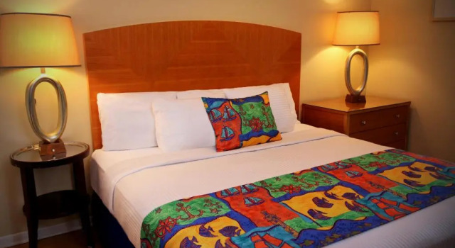 Номер Economy The White Sands Resort and Spa