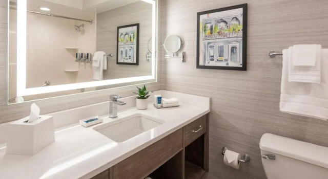 Двухместный номер Standard с частичным видом Four Points by Sheraton French Quarter