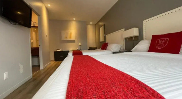 Четырёхместный номер Standard Hotel du Nord