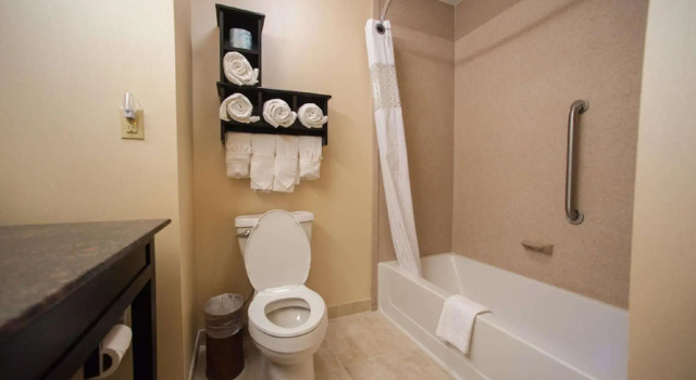 Двухместный люкс Hampton Inn by Hilton Fort Morgan