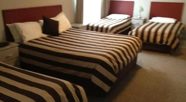 Семейный номер Standard Fig Tree Motel