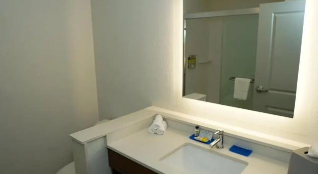 Двухместный номер Standard Holiday Inn Express & Suites - Aurora Medical Campus by IHG