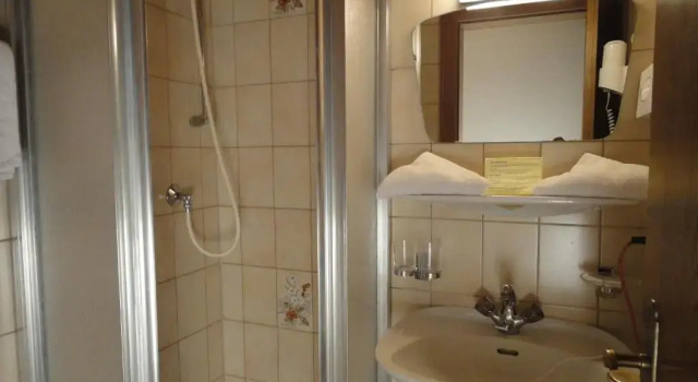 Номер Standard Boutique Hotel Lainbach