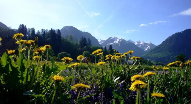 Апартаменты Oberstdorfer Bergwelt 218