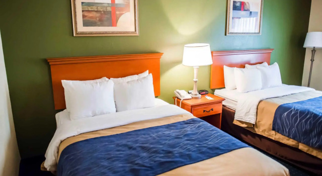 Номер Standard Comfort Inn & Suites Chipley I-10