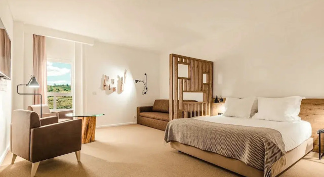 Double room Valey View Hotel Lamego