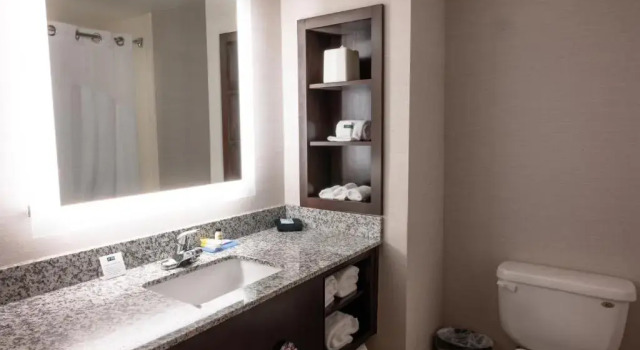 Двухместный номер Standard Holiday Inn Express & Suites - Tuscaloosa-University by IHG