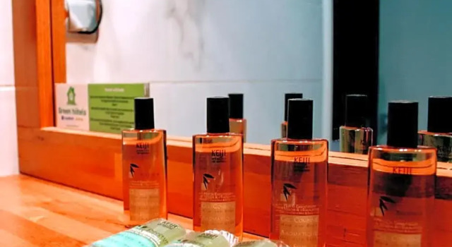 Номер Standard Greenhotels Roissy Parc des Expositions