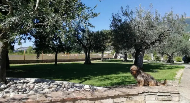 Appartamento 2 camere La Lanterna di Lanfo