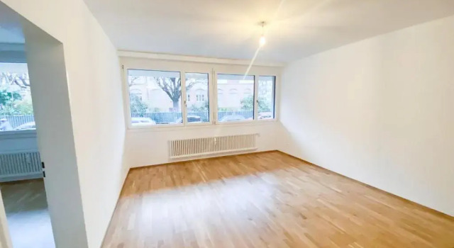 Апартаменты Messe - Art Basel 2 Zimmer Wohnung