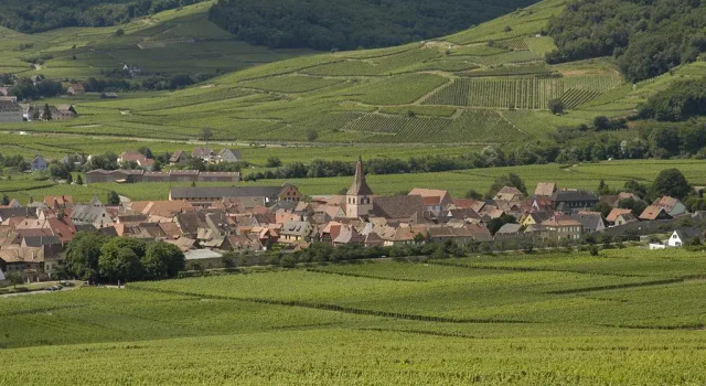 Hostellerie Schwendi, Book Hotel Hotels in Alsace with Parking, Parking