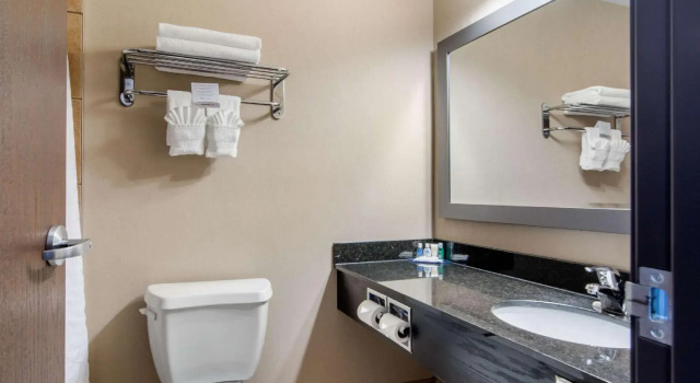 Двухместный люкс Comfort Inn & Suites