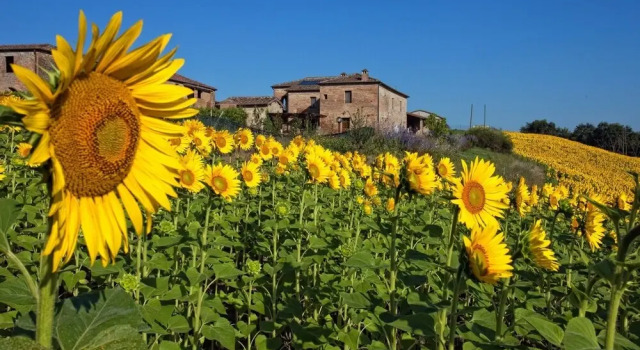 Santa Caterina, Book Hotel Monteroni dʼArbia 
