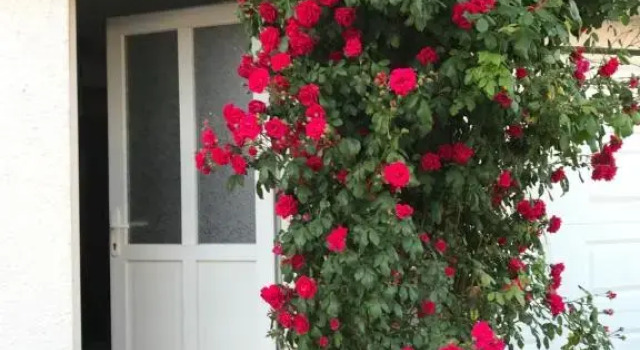 Апартаменты joli studio au coeur de Verdun
