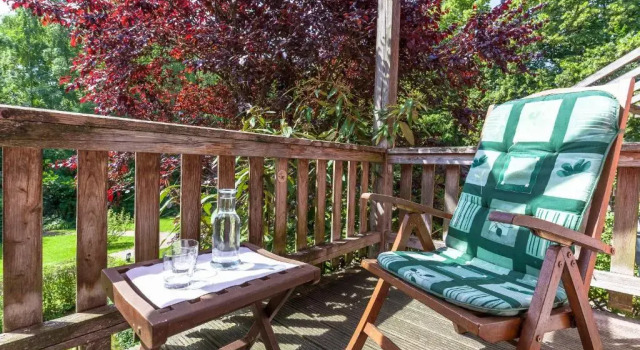 Номер Superior Bio- und Gesundheitshotel Gutshaus Stellshagen