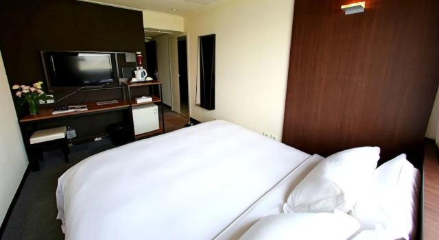 Одноместный номер Superior The Riverside Hotel