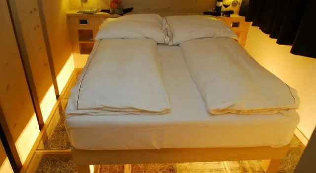 Номер Deluxe Alpen Hotel Chalet