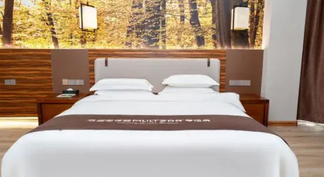 Люкс Business HanLinquan Health Resort