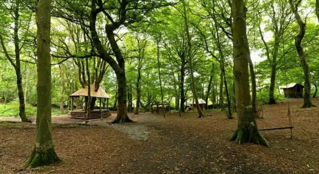 11 'bellatrix' Bell Tent Glamping Anglesey, Rezervasyon Kamp Alanı Holyhead Anglesey