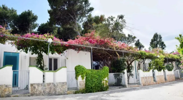 Полулюкс Camping Villaggio Pineta Al Mare