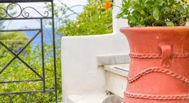 Heracles Guesthouse, Reserva ahora Apartamento Rovies 