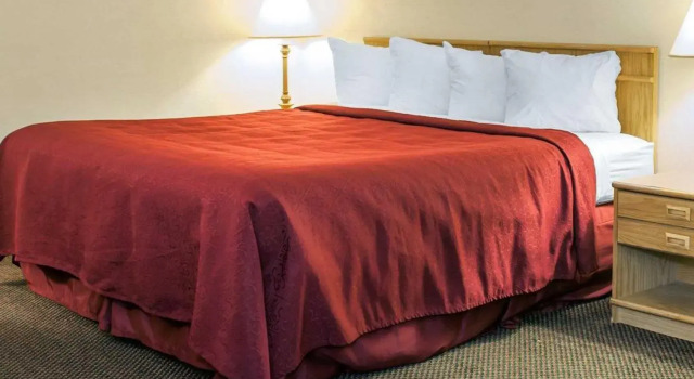 Номер Standard Quality Inn & Suites Greensburg I-74