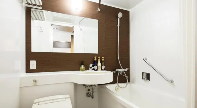 Двухместный номер Superior HOTEL MYSTAYS Ueno East