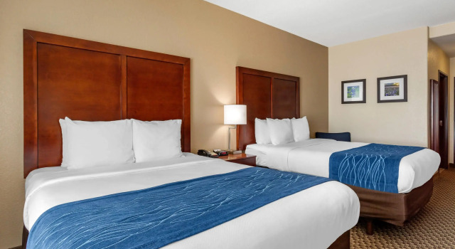 Четырёхместный номер Standard Comfort Inn & Suites Navasota