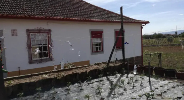 Номер Standard Casa da Vinha Grande