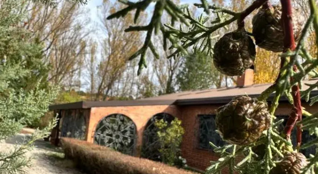 Коттедж с 3 комнатами Finca Paraíso Rural