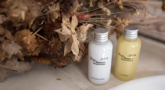 Номер Superior Don Numas Posada & Spa