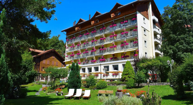 Одноместный номер Standard Hotel Wengener Hof