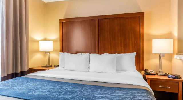 Двухместный люкс Comfort Inn & Suites Airport-American Way
