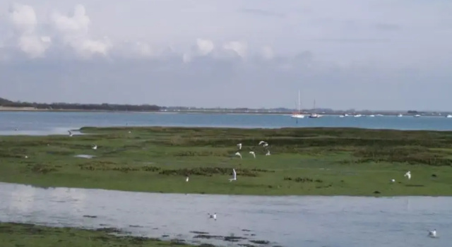 Lazy Meadow, Book Hotel Hoteller i Emsworth med parkering, Parkering