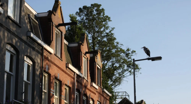 Canal View Stay Amsterdam, Забронировать Отель «постель и завтрак» Отели Норда 4 звезды, 4*