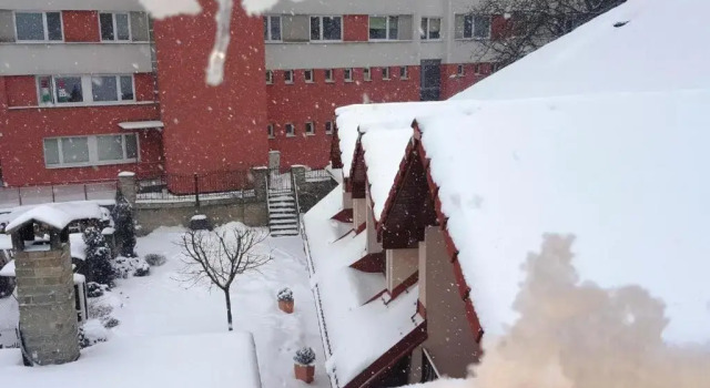 Номер Standard B&B Penzión a apartmány Magura