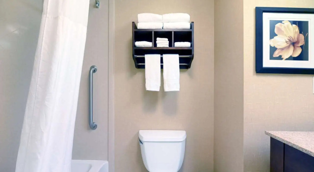 Номер Standard Hampton Inn & Suites Smithfield