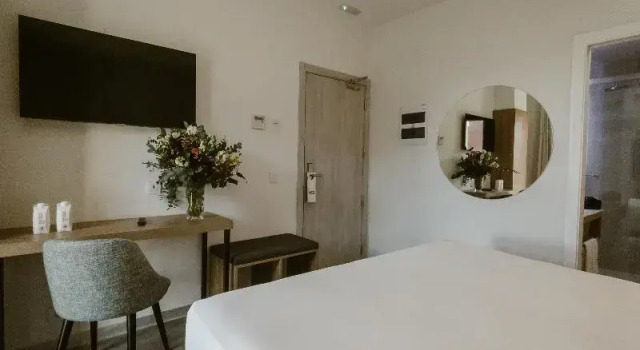 Полулюкс Petit Palace Vargas