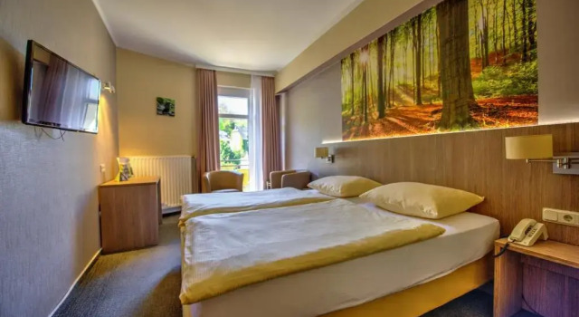 Camera doppia Standard con balcone Hotel du Commerce - Restaurant La Table de Clervaux