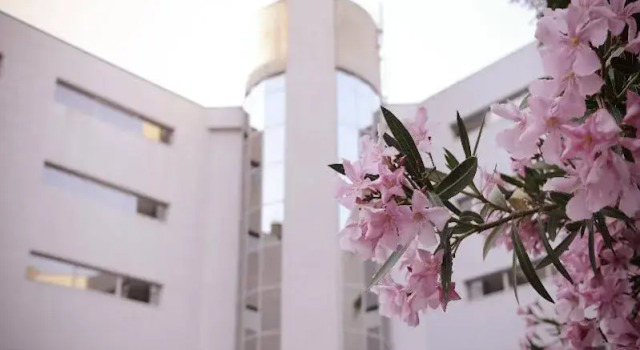 City Hotel