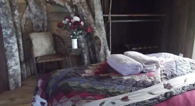 Lupe Sina Treesort, Book Hotel Hotels in Siumu with Parking, Parking