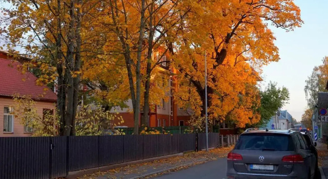 Студия Quiet Romantic Studio plus parking, Tartu Home