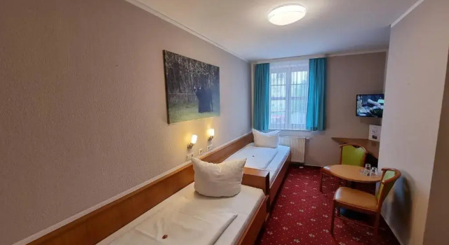Двухместный номер Standard Hotel Zum Goldenen Löwen