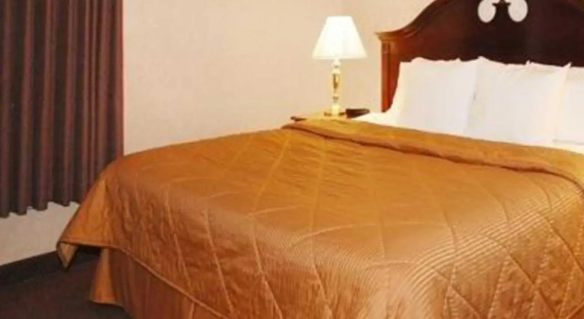 Номер Standard Quality Inn & Suites Tarboro - Kingsboro