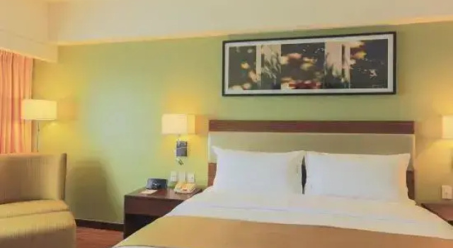 Двухместный номер Deluxe Holiday Inn & Suites Makati by IHG