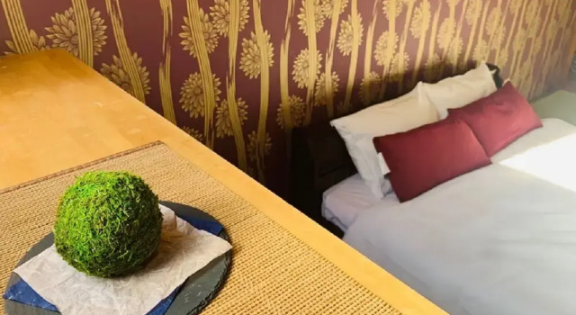 Hotel-ikoi-komagome 101, Забронировать Отель Отели Токио 3 звезды, рядом с TABATA Memorial Museum of Writers and Artists, 3*