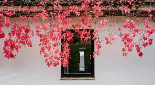 Семейный номер Standard Agriturismo San Ottaviano