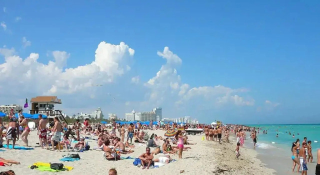 The Villas at Milano South Beach - 1 Bedroom Condo - SBR 54876