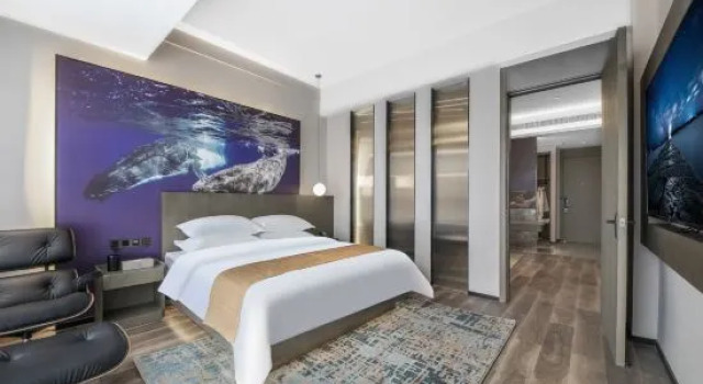 Люкс Deluxe Jingwei Wisdom Hotel (Wollongong Teachers College, Nanyang)
